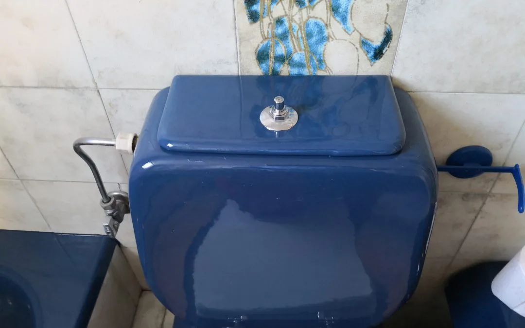 Επισκευή σε καπάκι τουαλέτας – Ωρωπός